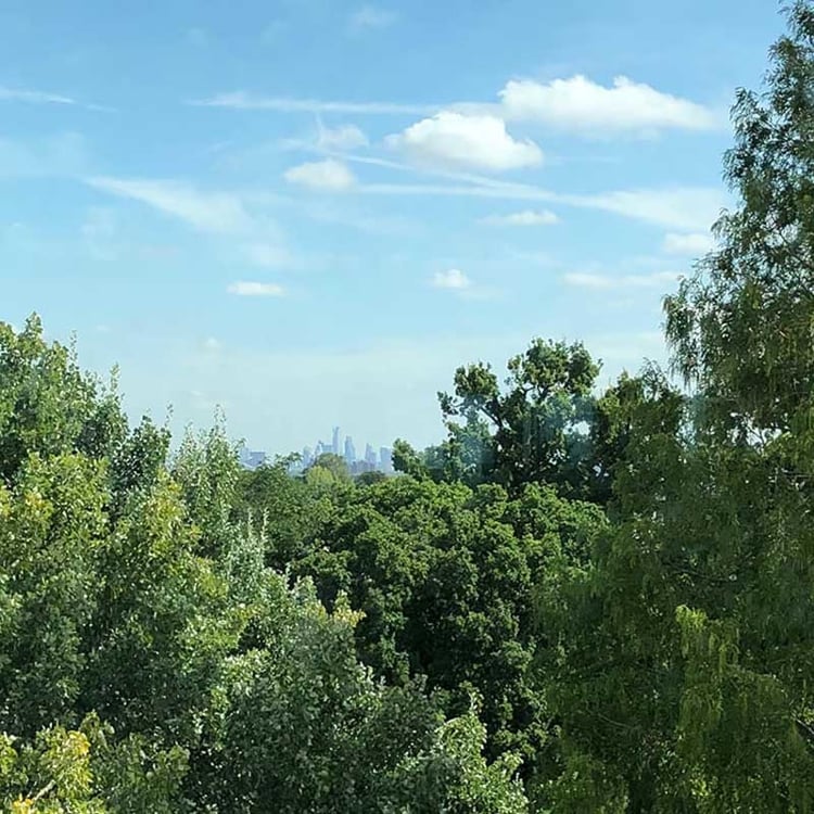 Central London from campus